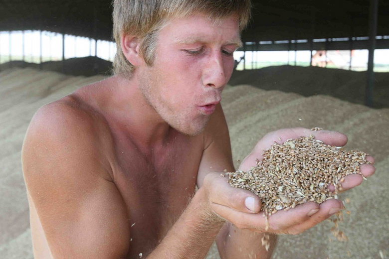 «Русагротранс» снизил оценку урожая пшеницы на 1 млн тонн